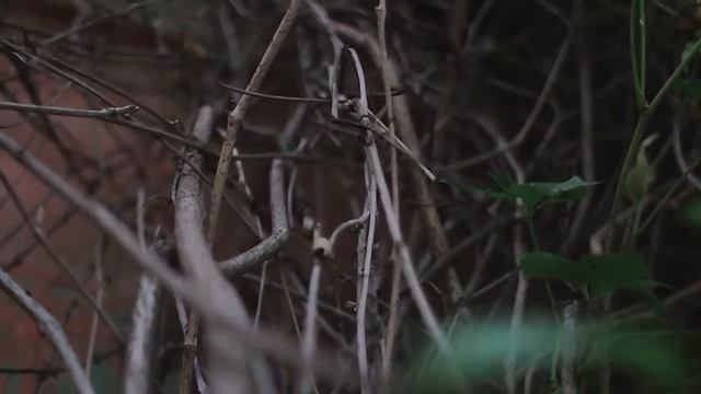 Оля и Сережа смотреть онлайн