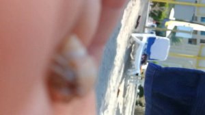 В теплые края зимой - Фуджейра - ОАЭ