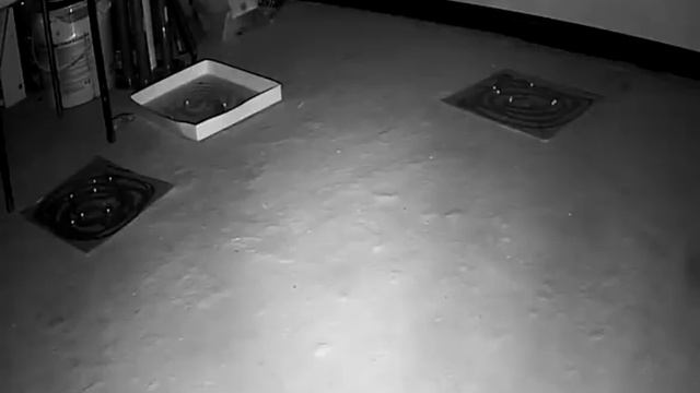 Сработал датчик движения в гараже смотреть онлайн