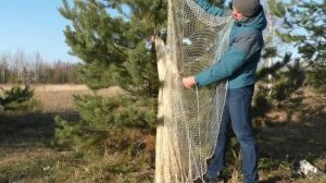 Кастинговая сеть: устройство, особенности и законность | Cast net: construction and features