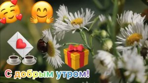 С🥰добрым💌утром!🙏И🤗новым🎁днём💋самым😘любимым💝единственным☕️☕️для вас💐🧚🏻♀️