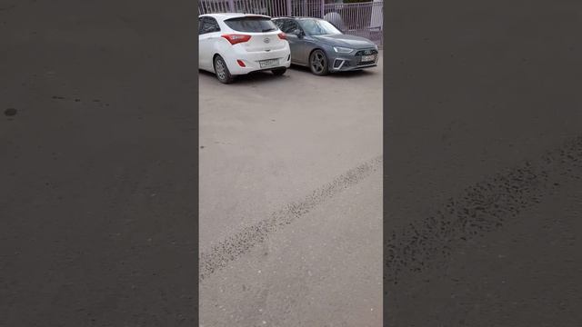 парковка на оопт, 04.04.23, 15:06 смотреть онлайн