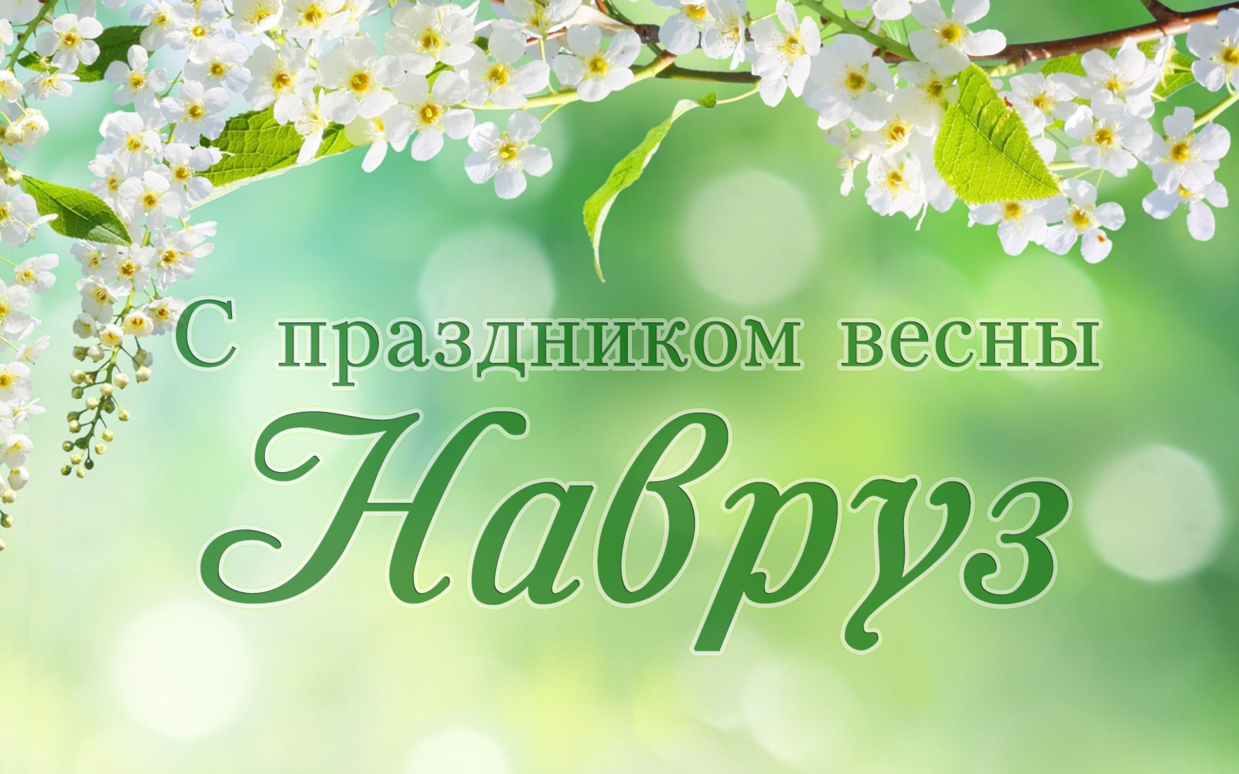 Наврез Байрам во Владимировском СК (2023)