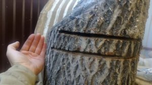 Пилим концом шины