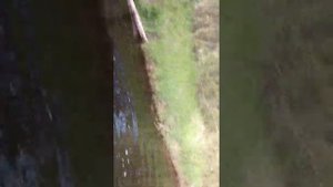 мини трактор KUBOTA B6000 4х4, преодолеваем водные преграды