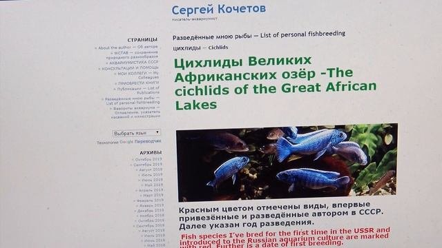 My Website - Http://kochetov.info|О моём сайте 2019, октябрь