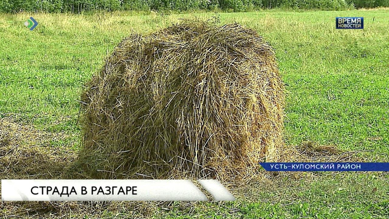 Страда значение. Страда фамилия.