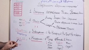 Фараид (наука о наследстве в Исламе) Урок-1 Мухаммад Биджиев Как поделить  наследство в Исламе