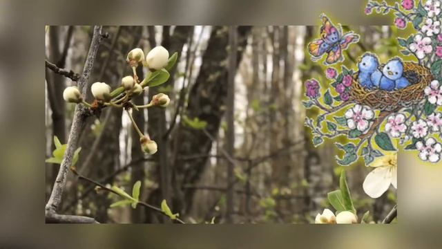 29 апреля в Народном Календаре