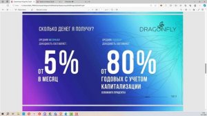 DragonFly безопасный и не дорогой робот на Forex. Советник Форекс