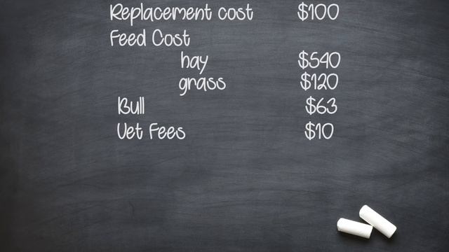 The Cost of Ranching смотреть онлайн