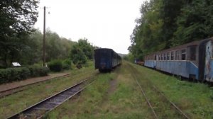 Боржавская узкоколейка. Закарпатье. Уходит поезд...