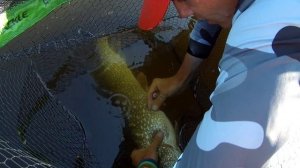 Ловля щуки на бигбейты. Волжские монстры 2021. Наше выступление на турнире.