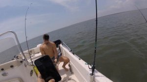 NJ Flounder/Fluke Fishing Using Gulp! // (new boat reveal + bonus snakehead vid)