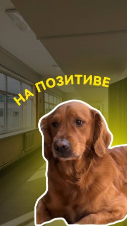 А потом встречаешь друга и начинаются весёлые школьные будни🙌🏻