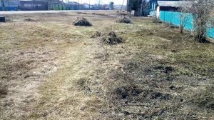 Субботник в деревне!