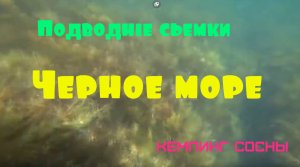 Черное море под водой. Отдых и подводные съемки возле кемпинга Сосны, Краснодарс.mp4