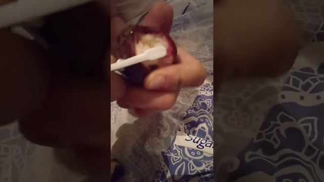 кушаем маракуя в первые смотреть онлайн