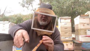 Изоляция пчелиных маток: изоляторы проходные и не проходные