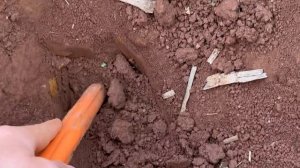 Found DEEP Signals with the New Garrett Axiom Metal Detector! (Relics)