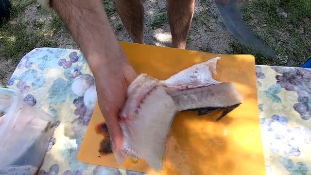 Отдых на Днепре. Рыбалка, грибы, подводная охота. смотреть онлайн