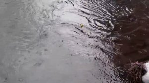 DUO Realis Pencil 110 испытания,новое название ГОРЛОПАН