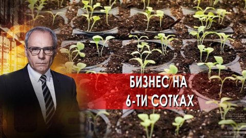 Бизнес на 6-ти сотках | Военная тайна с Игорем Прокопенко (05.06.21).