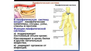 Конференция от 08 04 2015 Турмалин