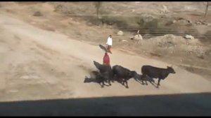 Путешествия по железным дорогам мира.