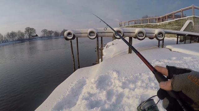 Ловля СУДАКА Зимой.Приманка которая ловит.#fishing #рыбалка #спиннинг #ловлясудака #судак #приманка