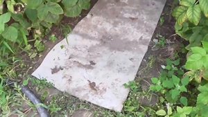 Дорожки между грядками - из обрезков линолеума