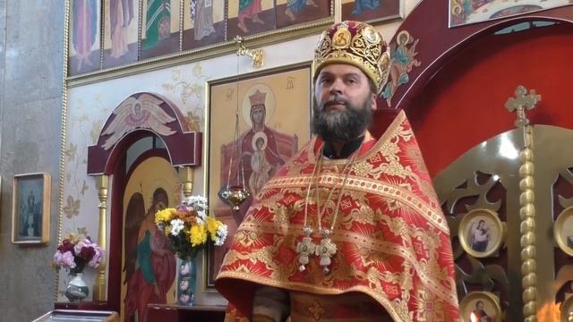 Проповедь протоиерея Иоанна Шимона в день памяти св. вмч. Димитрия Солунского 08.11.23 смотреть онлайн