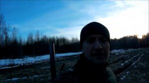 #охотанавальдшнепа#Весенняя охота на Вальдшнепа