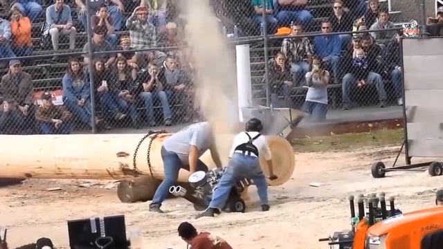The World´s Biggest and Strongest Chainsaws !!! смотреть онлайн