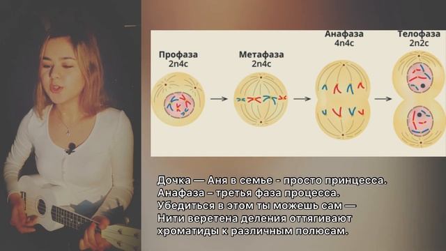 Как запомнить МИТОЗ? (стих) смотреть онлайн