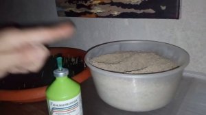 Как вырастить цыплят зимой#начальный этап