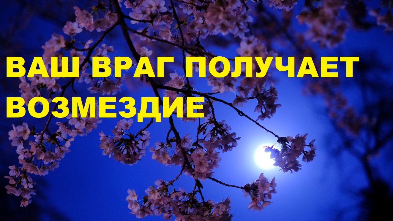 ЧТО В ЖИЗНИ ВАШЕГО ВРАГА ПРОИСХОДИТ / Карты Таро расклад