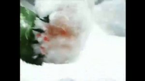 Экзо скажи фруктам з- (без мата)