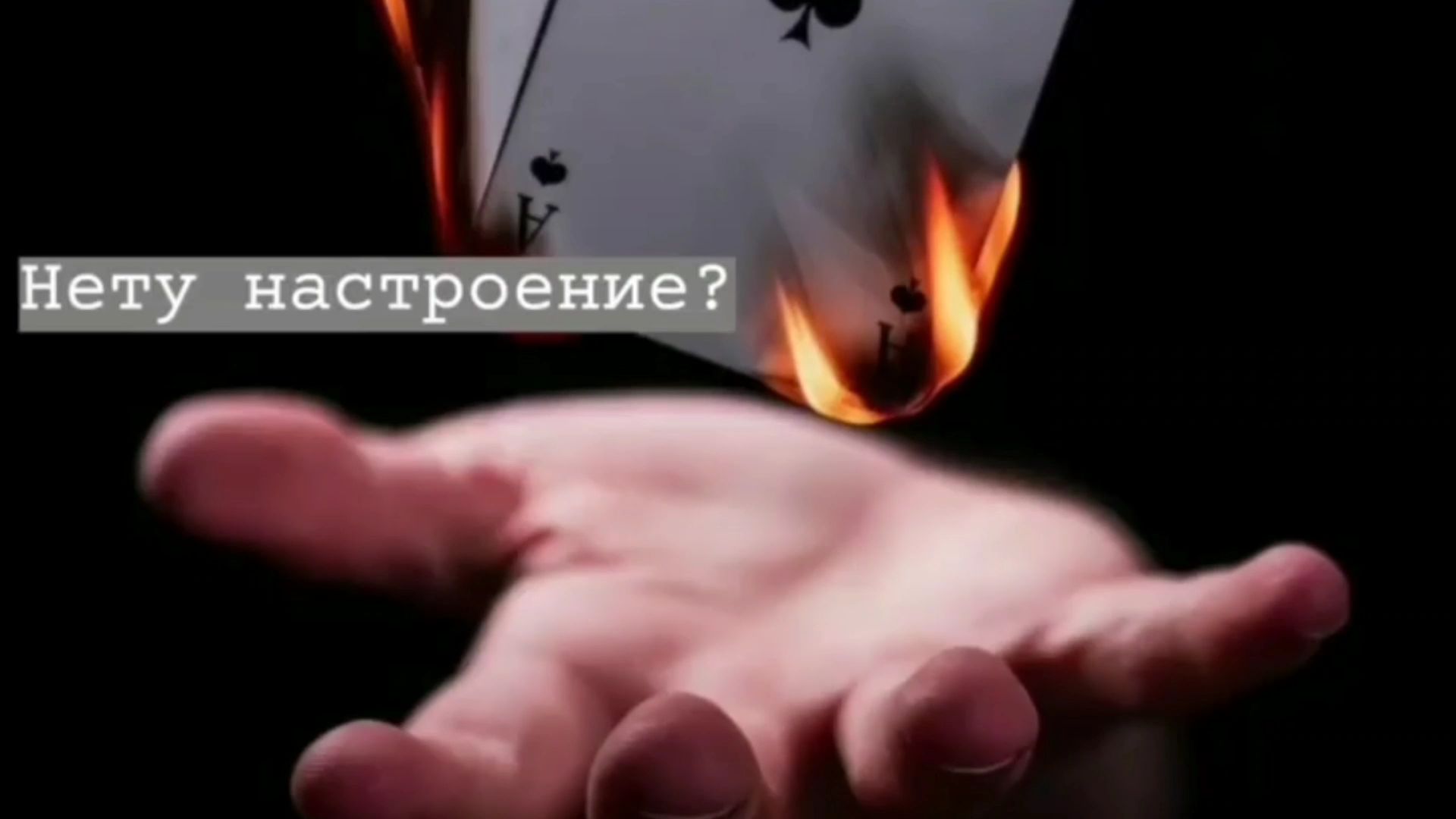 Грустные, смешные, крутые цитаты #1