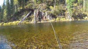 Осенняя Рыбалка в Горах Сибири. Хариус. Таймень. Ленок. Первый Нахлыстовый Опыт