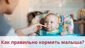Как правильно кормить малыша?