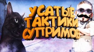 ОВОЩИ CSGO #12 УСАТЫЕ ТАКТИКИ СУПРИМОВ В КС / ТРОЛЛИНГ И КС ГО ПРИКОЛЫ В ММ