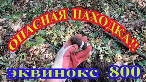 От таких находок может и сердечко выпрыгнуть!!