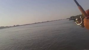 ловля судака на главном банке (поселок Вышка)