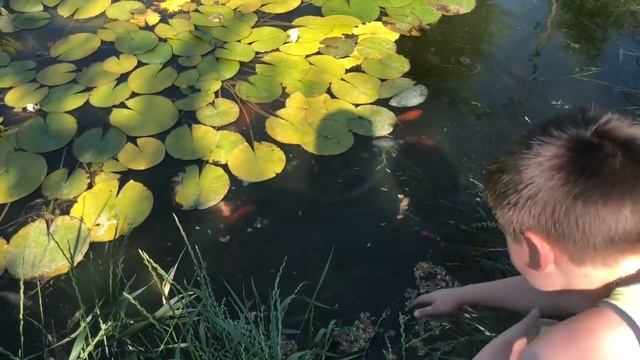 Сад Металлик принимает важного гостя смотреть онлайн