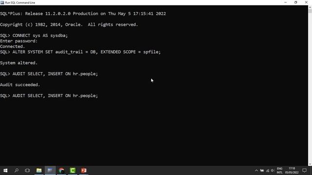 13. Database Auditing