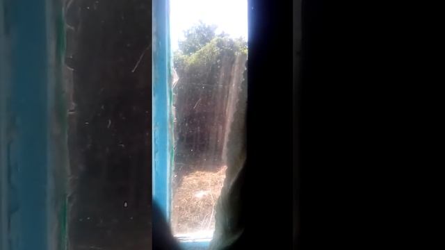 не всегда сбываются сны смотреть онлайн