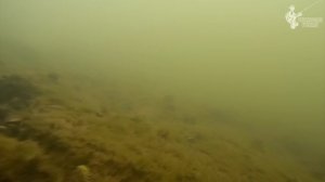 Знакомство с подводным дроном Gladius Mini и поиск рыбы