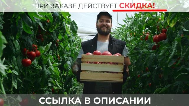 Как повысить урожайность на участке? Биоудобрение Грунтовик 1000 отзывы, где купить, обзор смотреть онлайн