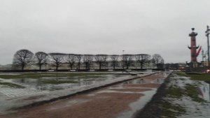 Петербург. Дождливо в январе